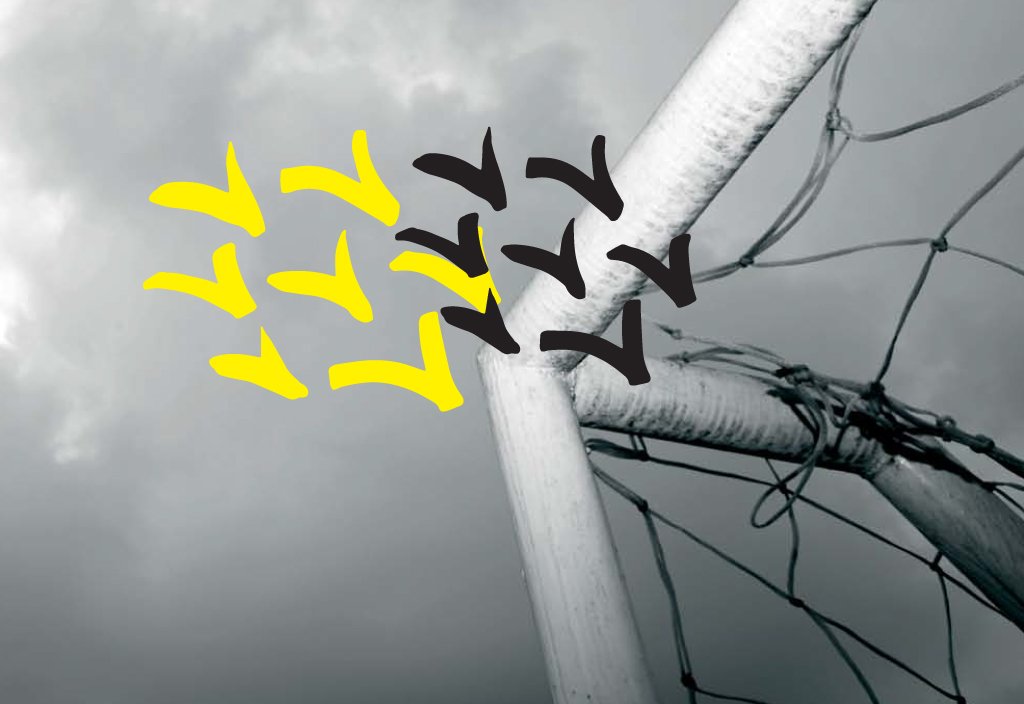 mdf_0004_tdr_imagem_site_1024-x-704_C_ls