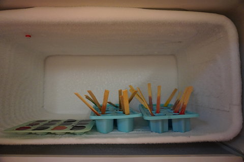 Foto das forminhas dentro de um congelador.