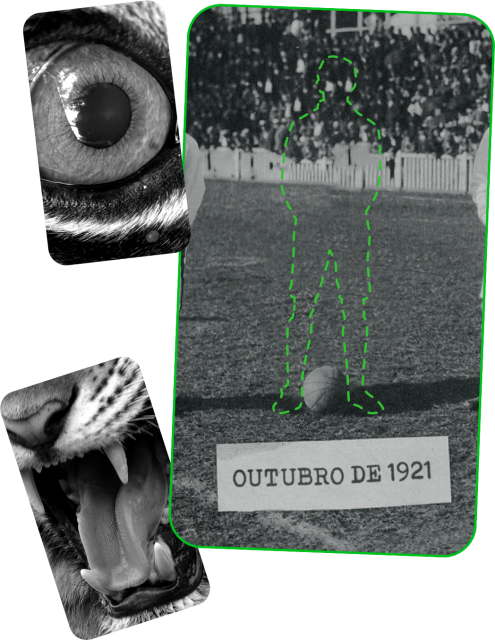 montagem de fotos em preto e branco com os dentes e o olho de um tigre, e um homem em campo que não está presente, apenas sua silhueta desenhada.