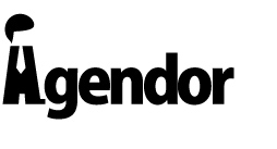 Logo Agendor