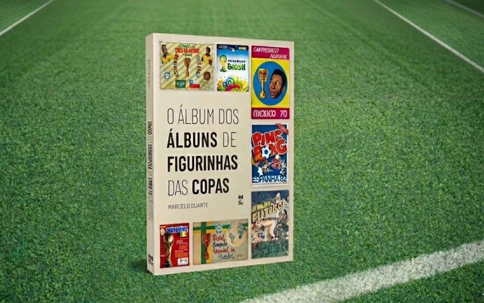 Imagem da capa do livro - fundo verde grama